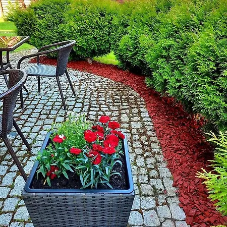 Grace - Wypoczynek Bez Dzieci ベッド・アンド・ブレックファスト 3*