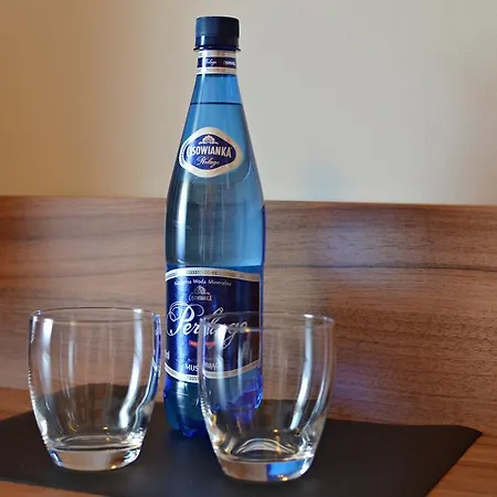 Grace - Wypoczynek Bez Dzieci 3* シクラルスカ・ポレンバ